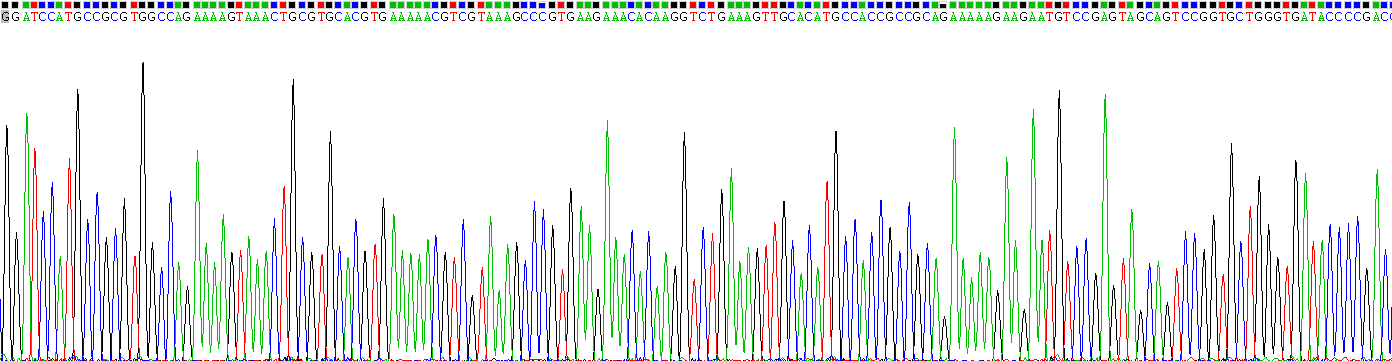 Gene Sequencing (extract)