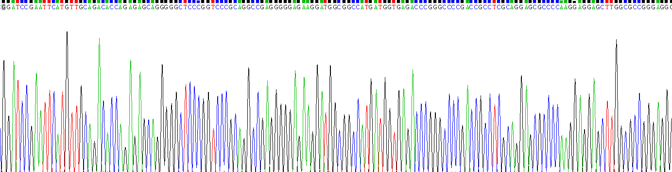 Gene Sequencing (extract)