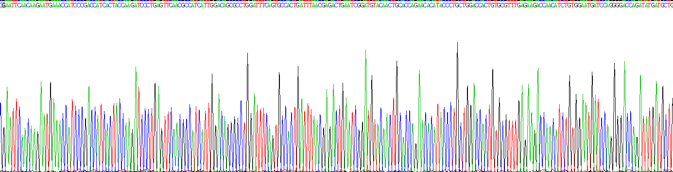 Gene Sequencing (extract)