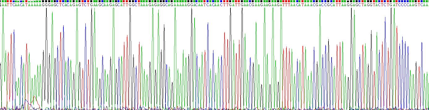 Gene Sequencing (extract)