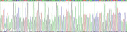 Gene Sequencing (extract)