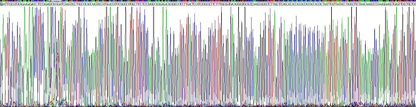 Gene Sequencing (extract)