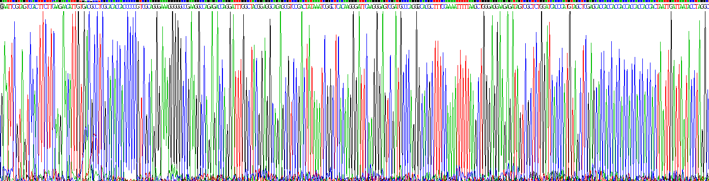 Gene Sequencing (extract)