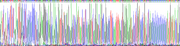 Gene Sequencing (extract)