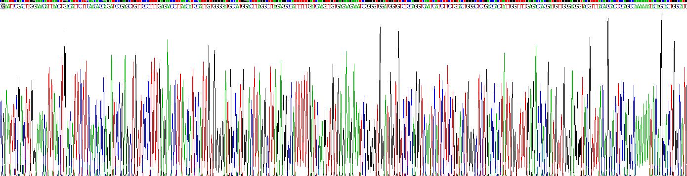 Gene Sequencing (extract)