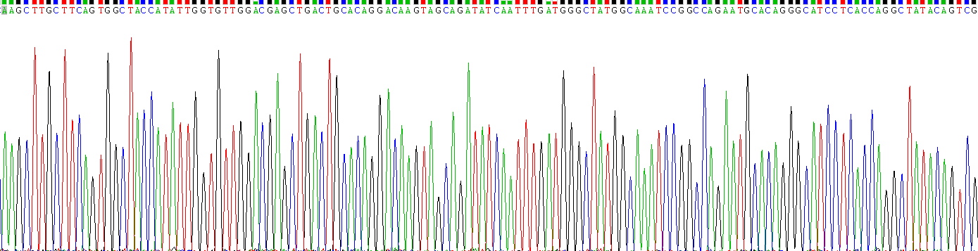 Gene Sequencing (extract)
