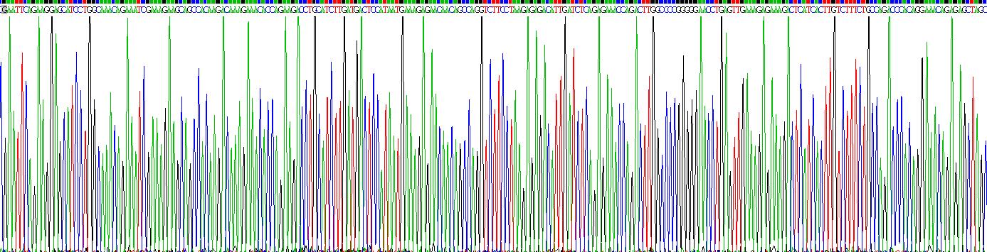 Gene Sequencing (extract)