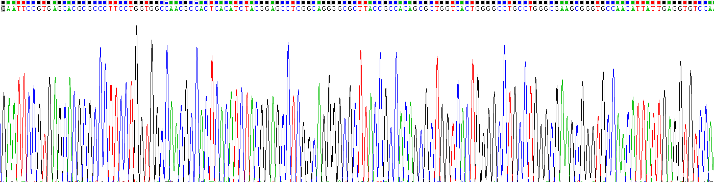 Gene Sequencing (extract)
