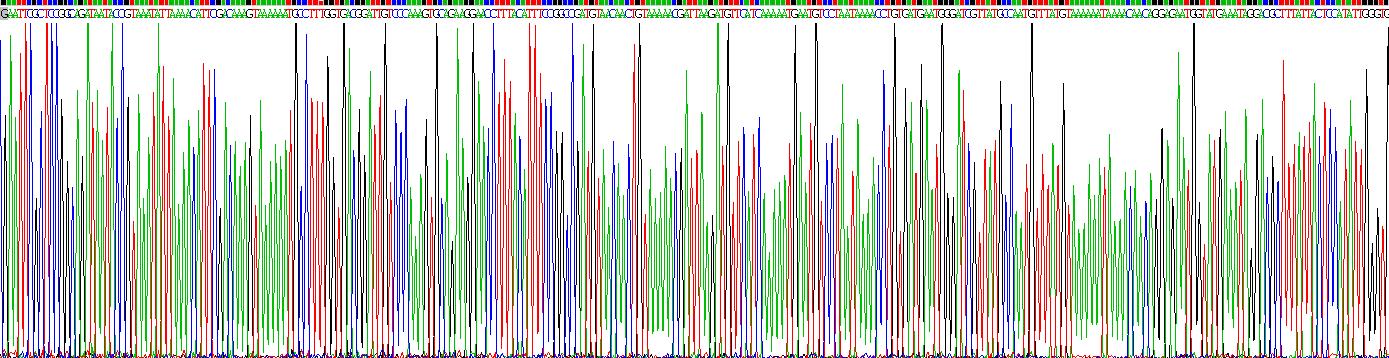 Gene Sequencing (extract)