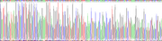 Gene Sequencing (extract)