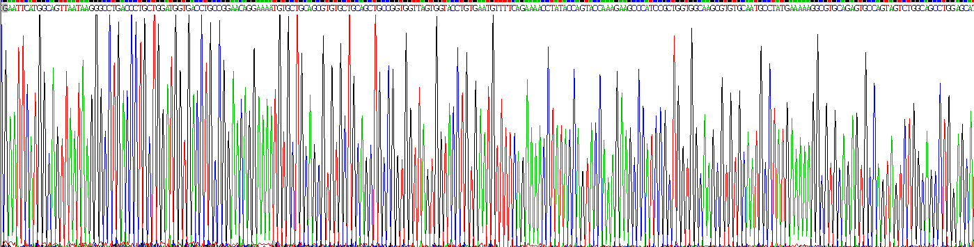 Gene Sequencing (extract)
