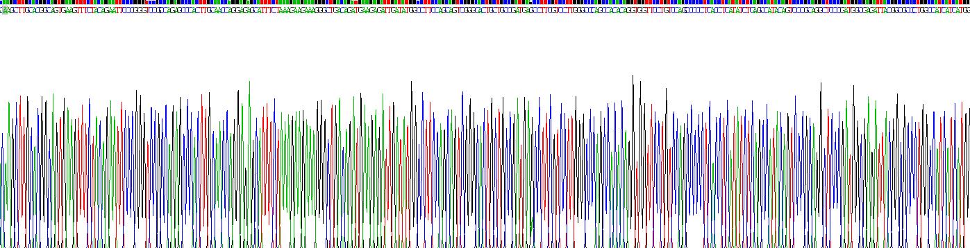 Gene Sequencing (extract)