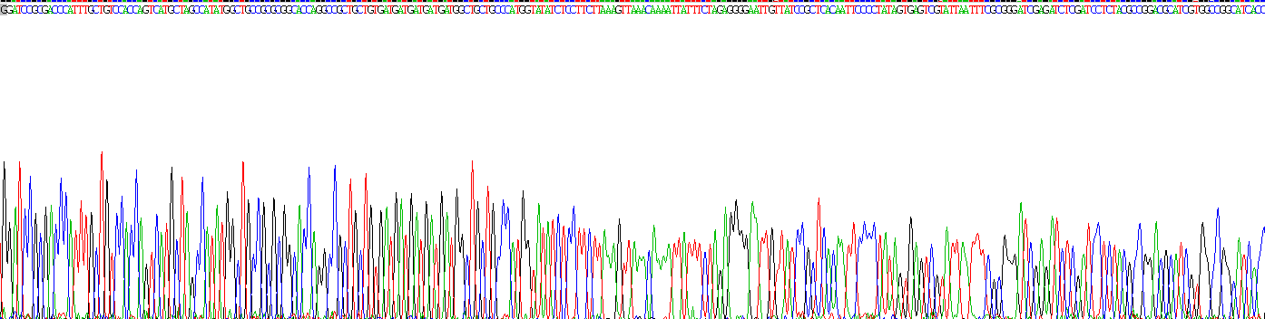Gene Sequencing (extract)