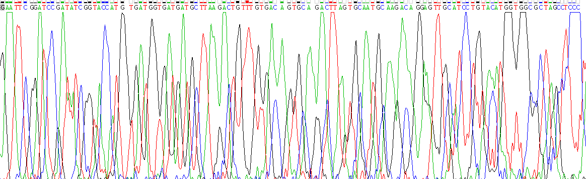 Gene Sequencing (extract)