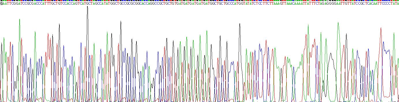 Gene Sequencing (extract)