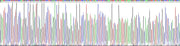 Gene Sequencing (extract)