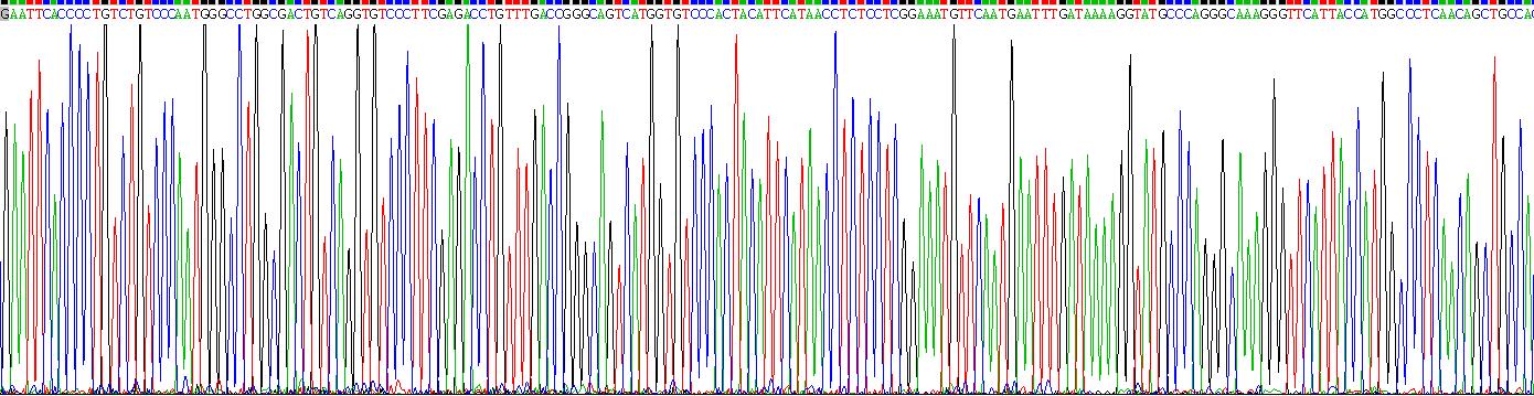 Gene Sequencing (extract)