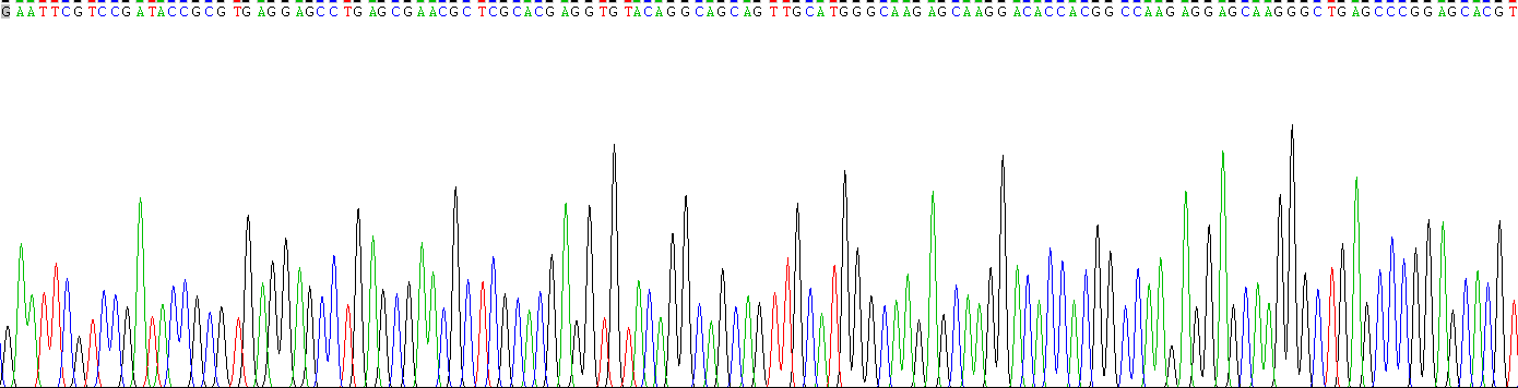Gene Sequencing (extract)