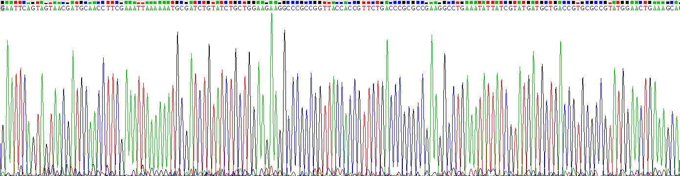 Gene Sequencing (extract)