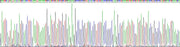 Gene Sequencing (extract)