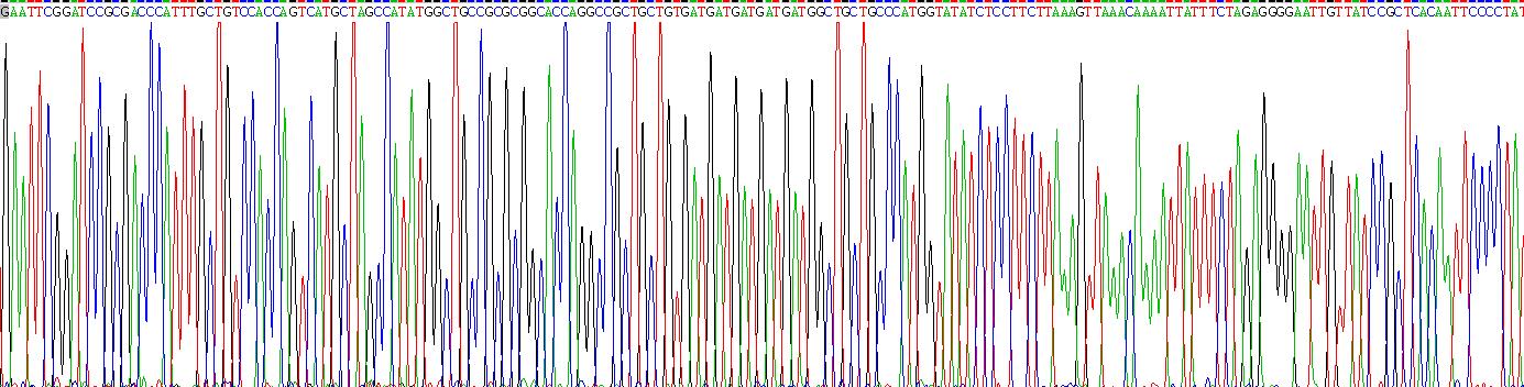 Gene Sequencing (extract)
