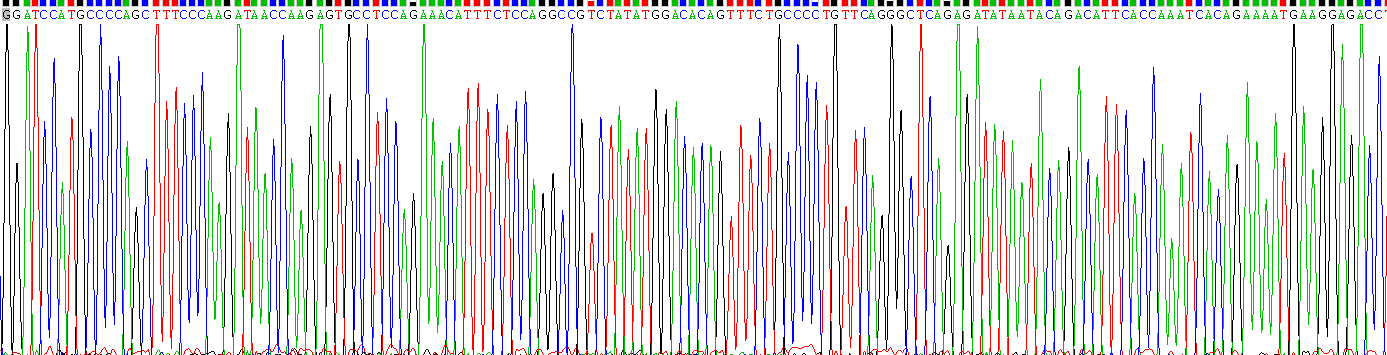 Gene Sequencing (extract)