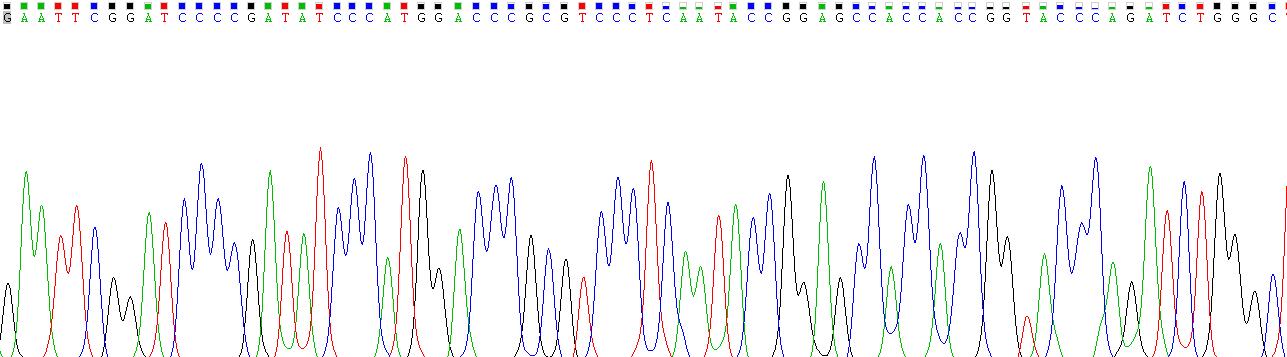 Gene Sequencing (extract)