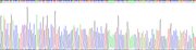 Gene Sequencing (extract)