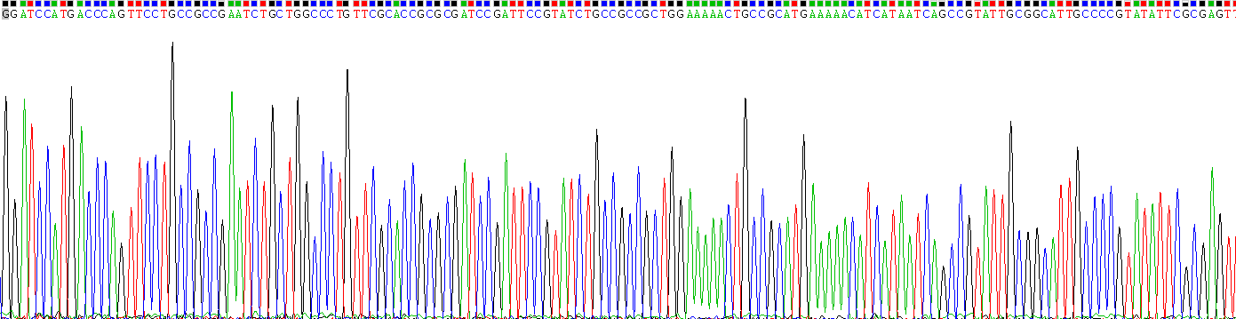 Gene Sequencing (extract)