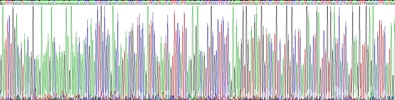 Gene Sequencing (extract)