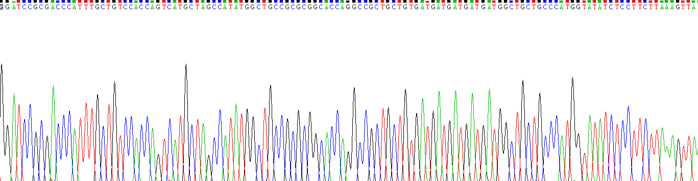 Gene Sequencing (extract)