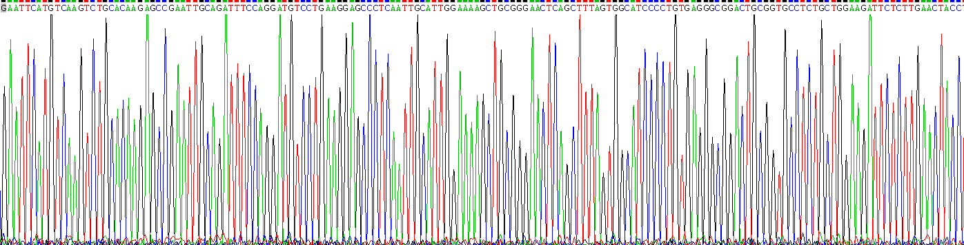 Gene Sequencing (extract)