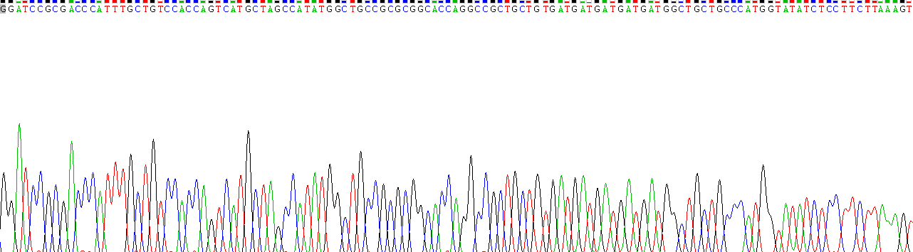 Gene Sequencing (extract)