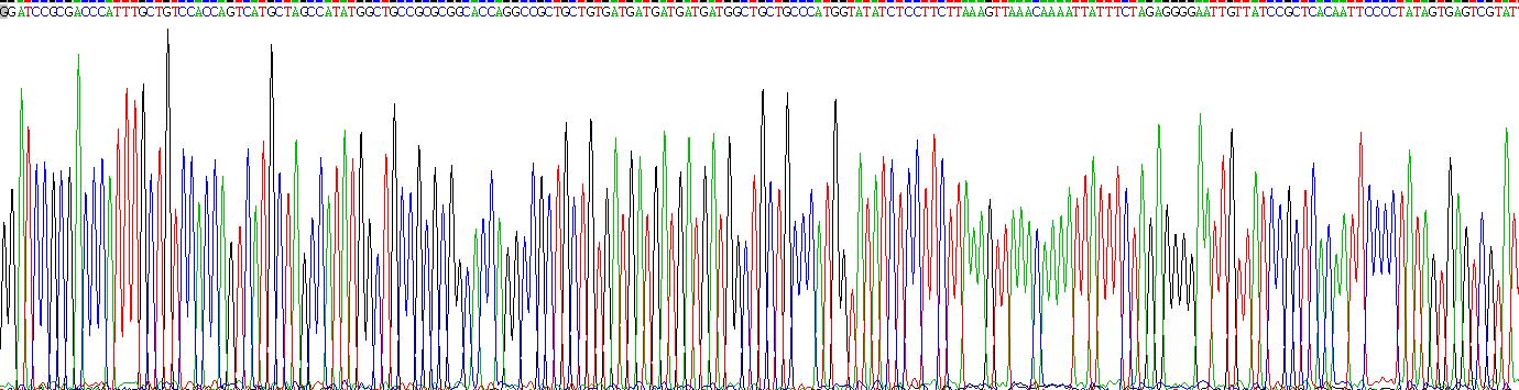 Gene Sequencing (extract)