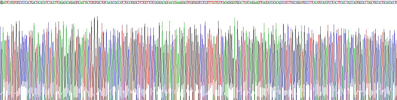 Gene Sequencing (extract)