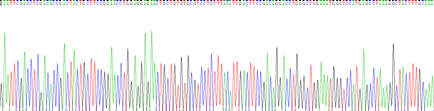 Gene Sequencing (extract)