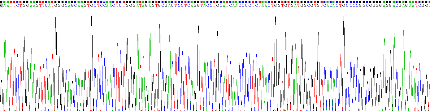 Gene Sequencing (extract)