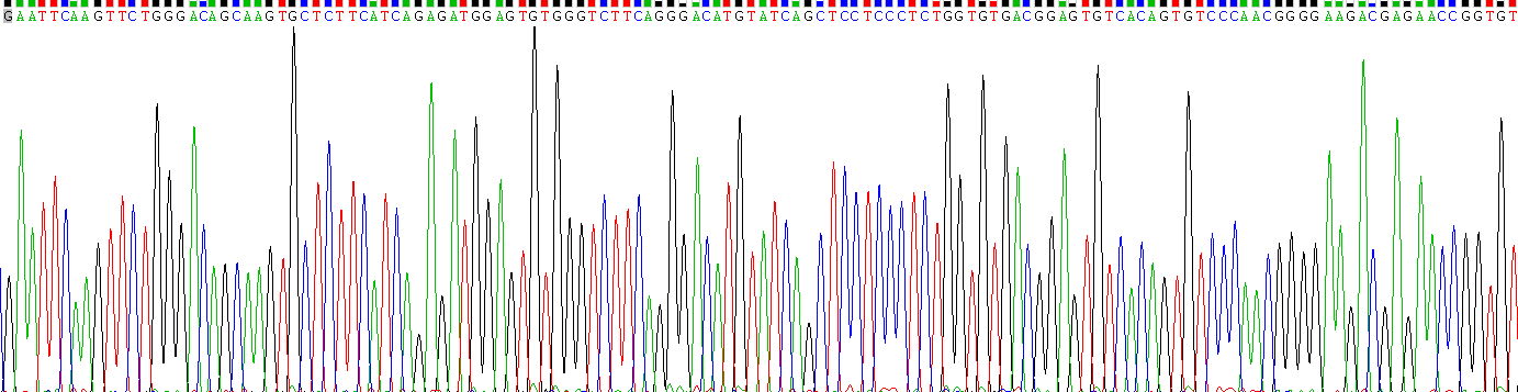 Gene Sequencing (extract)