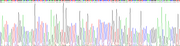 Gene Sequencing (extract)