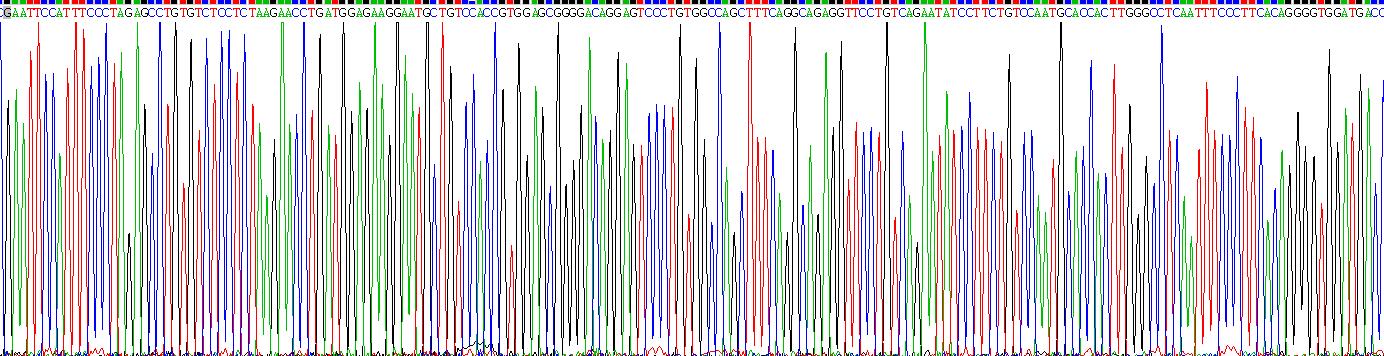 Gene Sequencing (extract)