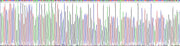 Gene Sequencing (extract)