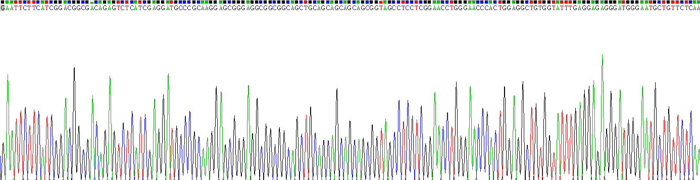 Gene Sequencing (extract)