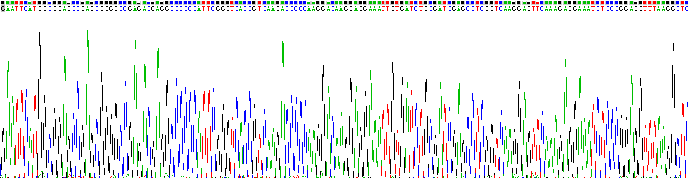 Gene Sequencing (extract)