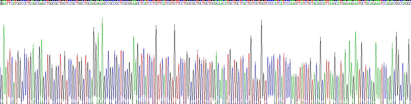 Gene Sequencing (extract)
