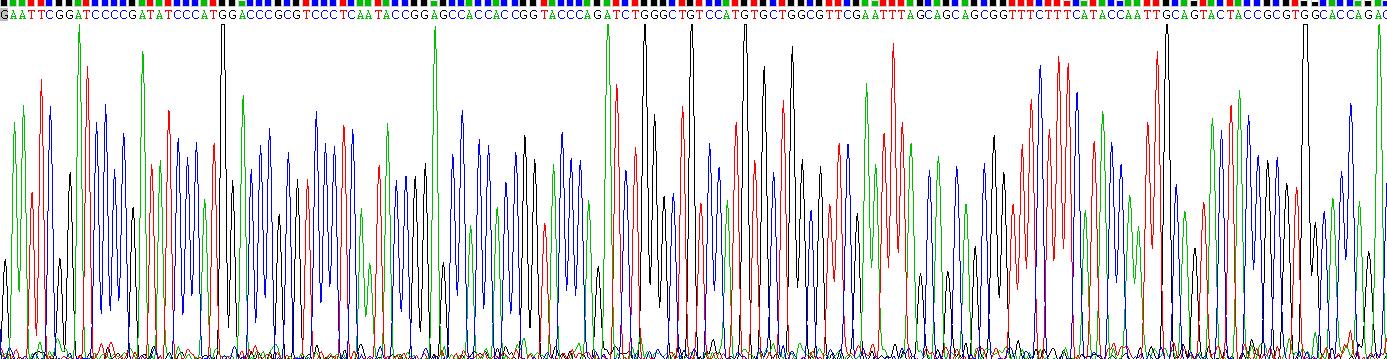 Gene Sequencing (extract)