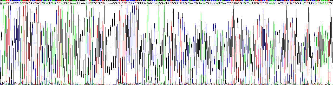 Gene Sequencing (extract)