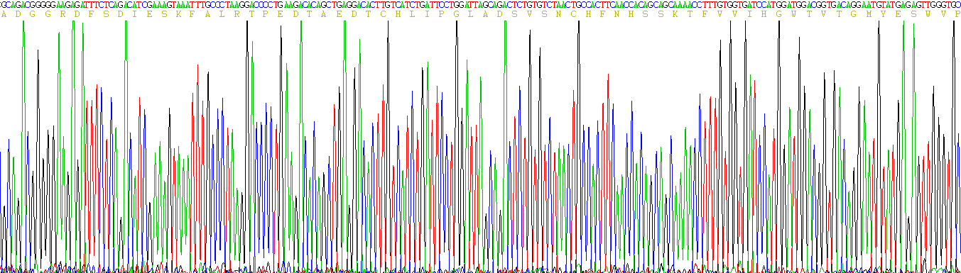 Gene Sequencing (extract)