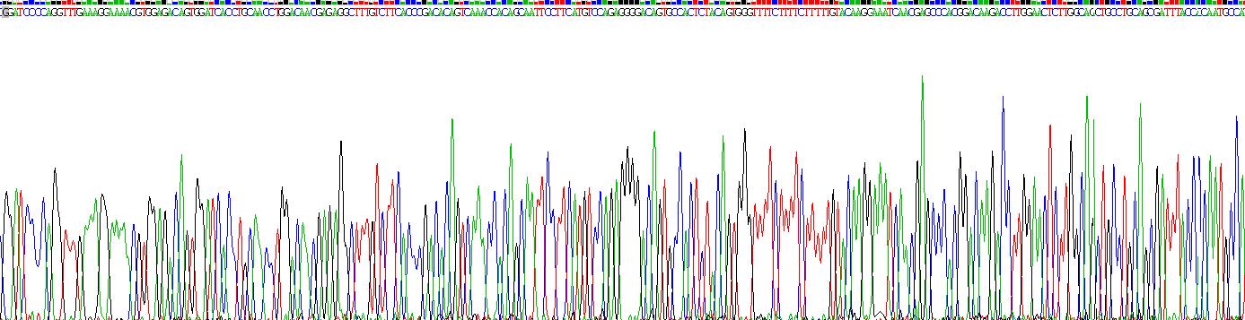 Gene Sequencing (extract)