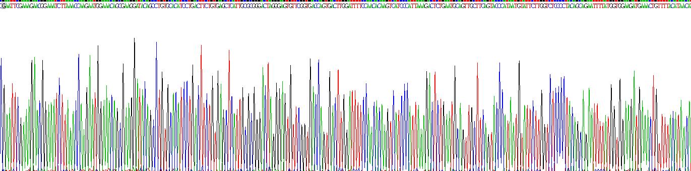 Gene Sequencing (extract)