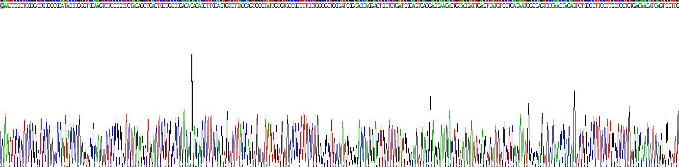 Gene Sequencing (extract)